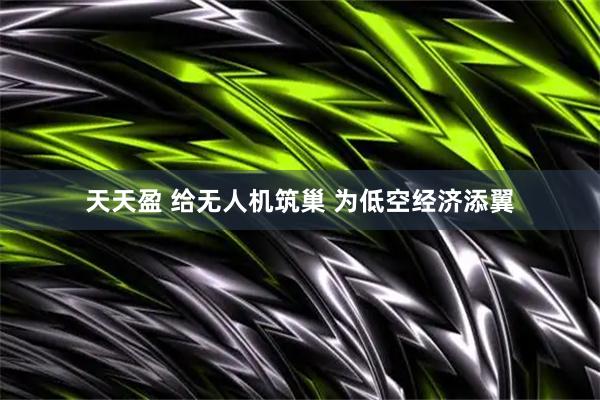 天天盈 给无人机筑巢 为低空经济添翼